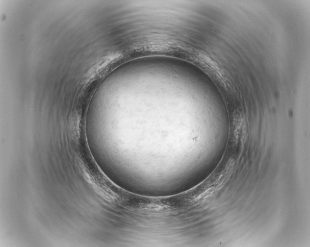 X0000088220542200705151416