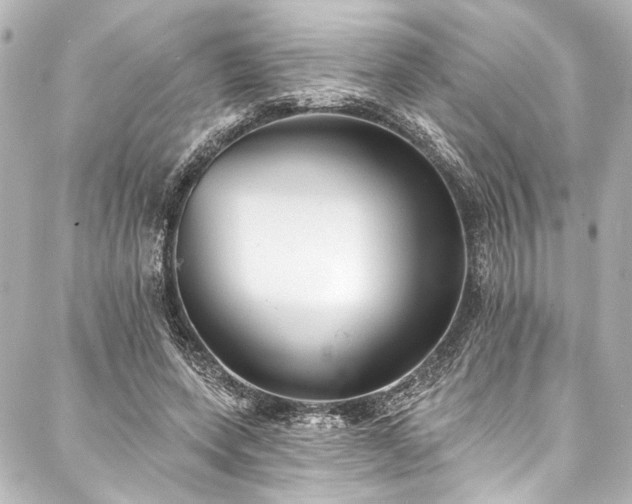 X0000088220543200705151416