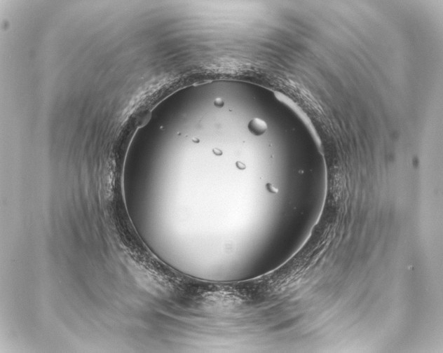 X0000088220544200705151416