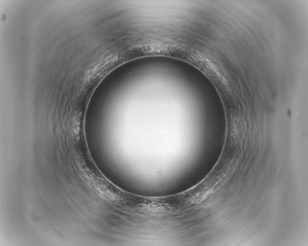 X0000088220545200705151416