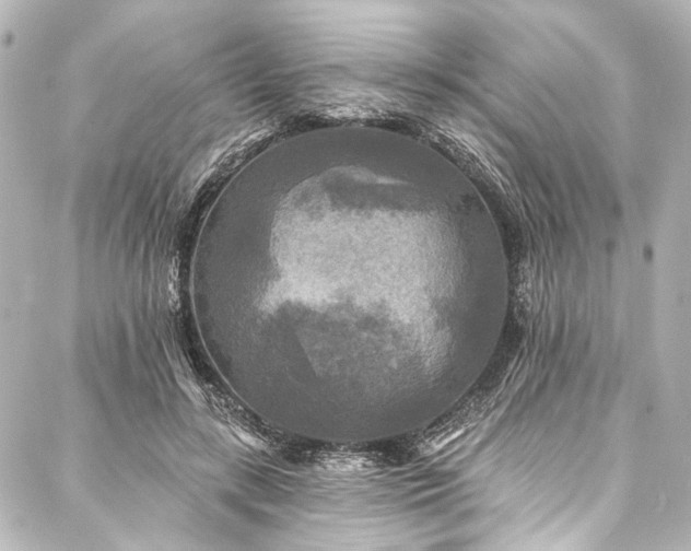 X0000088220547200705151416