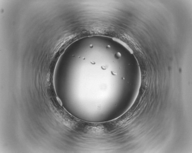 X0000088220548200705151416