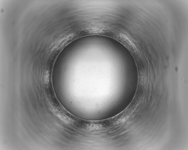 X0000088220549200705151416