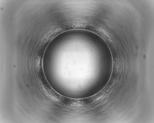 X0000088220550200705151416