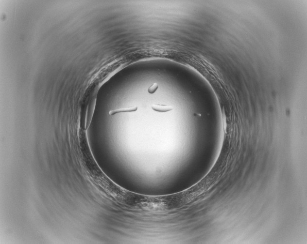 X0000088220552200705151416