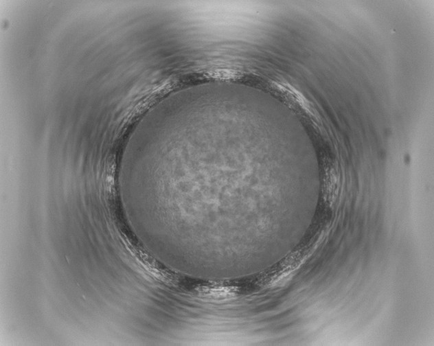 X0000088220553200705151416