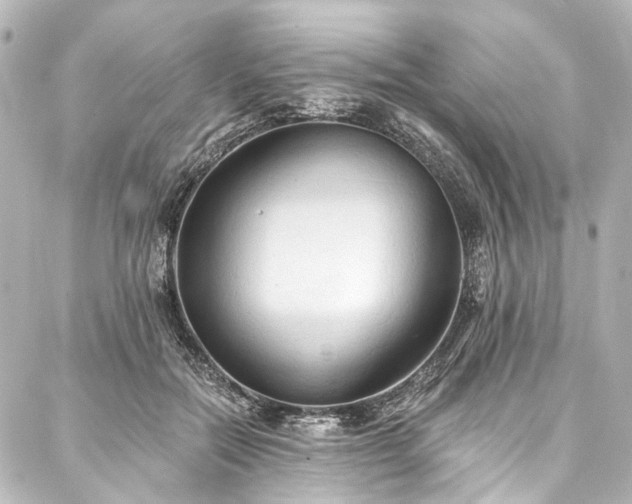 X0000088220554200705151416