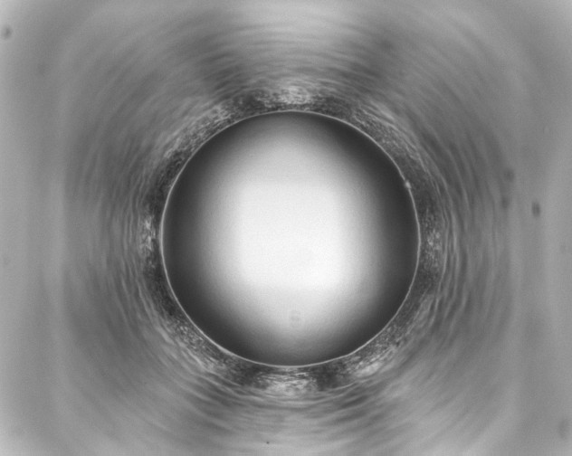 X0000088220555200705151416