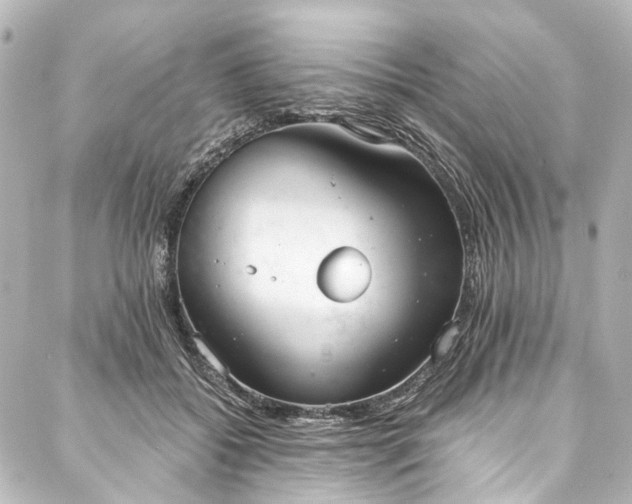 X0000088220556200705151416