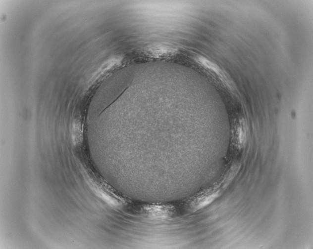 X0000088220558200705151416