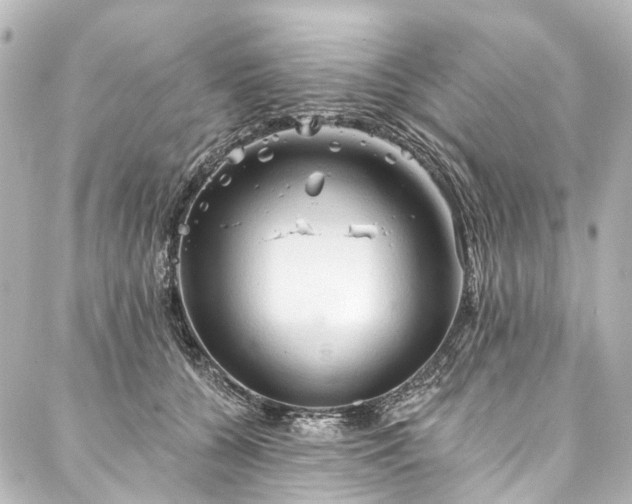 X0000088220560200705151416