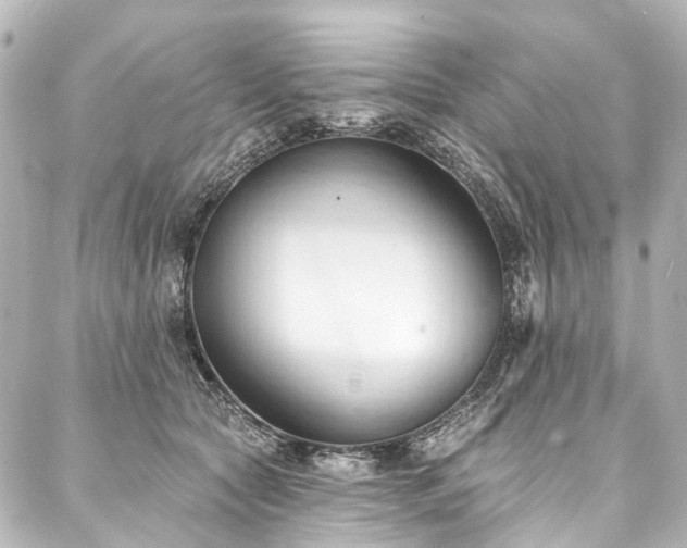 X0000088220561200705151416