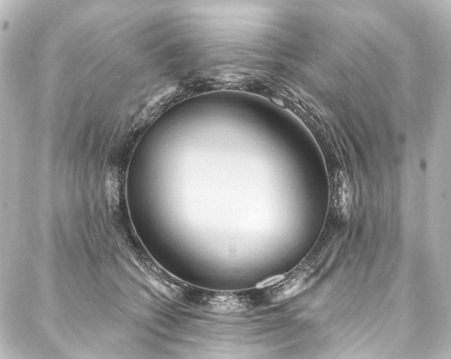 X0000088220562200705151416