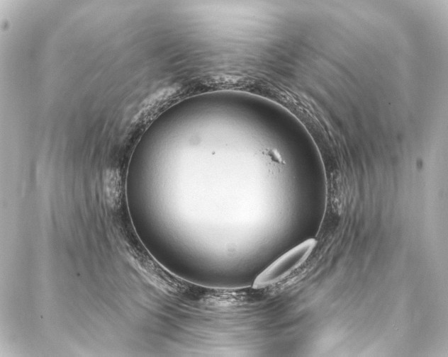 X0000088220563200705151416