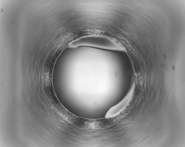 X0000088220564200705151416