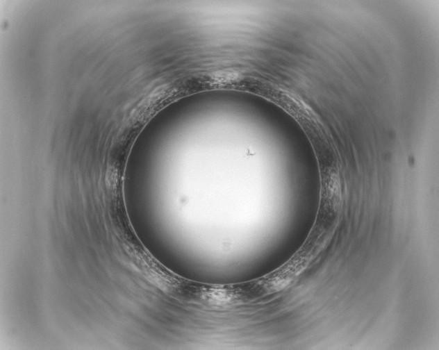 X0000088220565200705151416