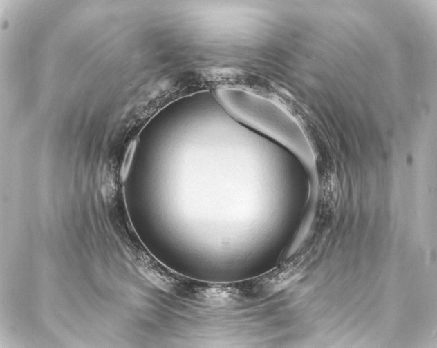 X0000088220566200705151416