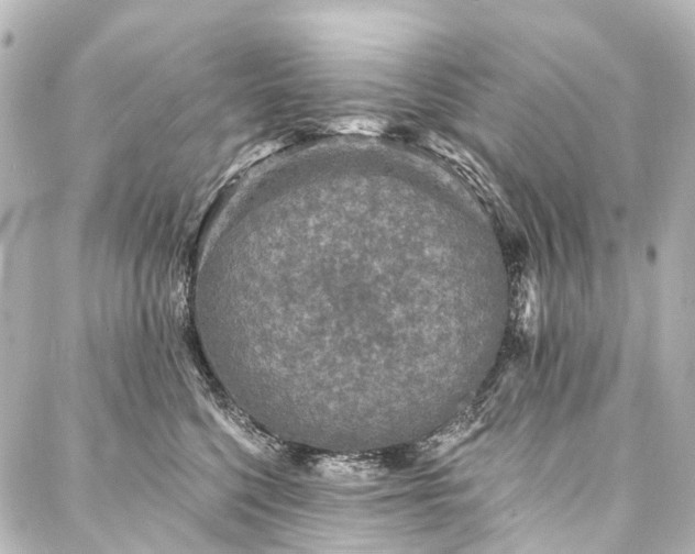 X0000088220568200705151416