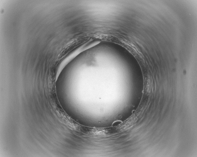 X0000088220569200705151416