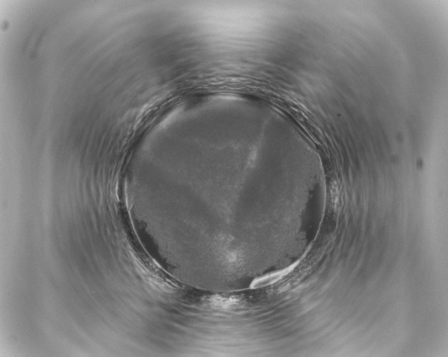 X0000088220570200705151416