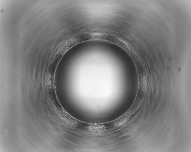 X0000088220571200705151416