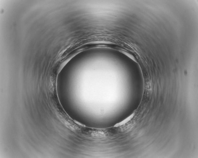 X0000088220572200705151416