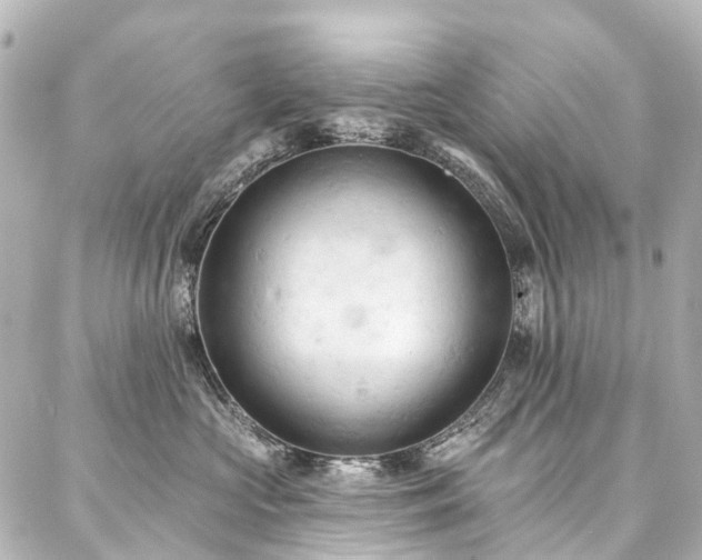 X0000088220573200705151416