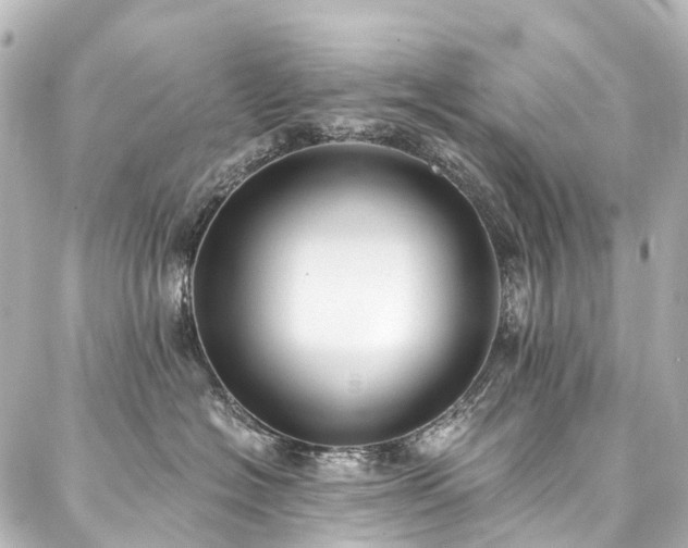 X0000088220574200705151416