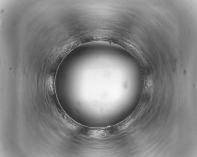 X0000088220575200705151416