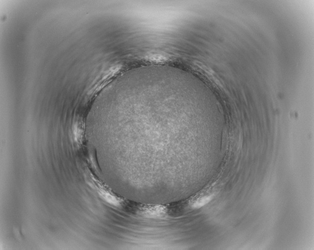 X0000088220576200705151416