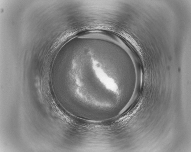 X0000088220577200705151415