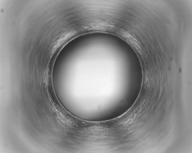 X0000088220578200705151415