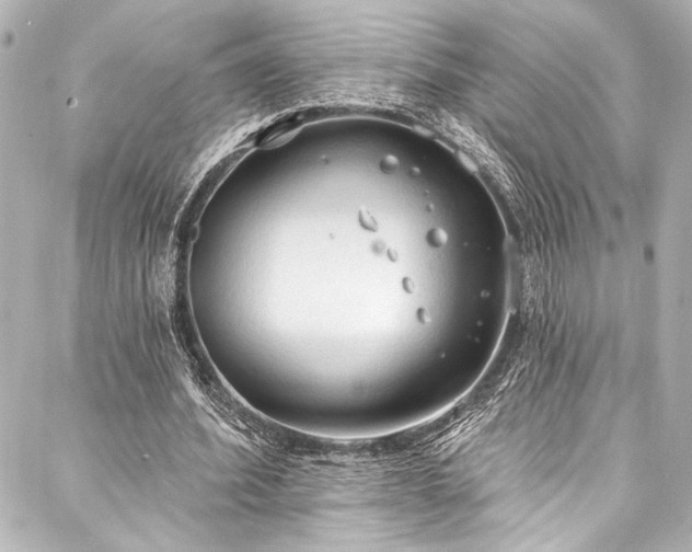 X0000088220580200705151415