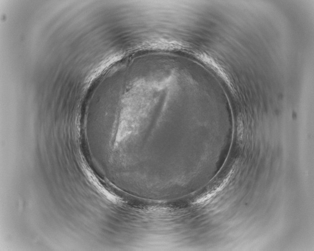 X0000088220581200705151415