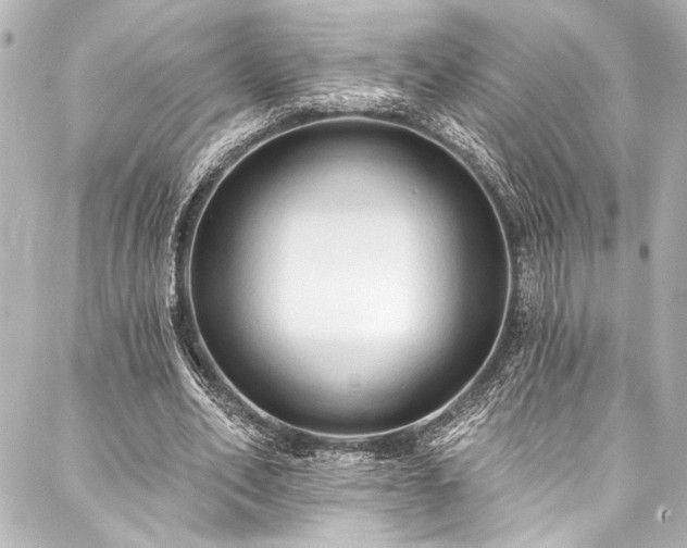 X0000088220582200705151415