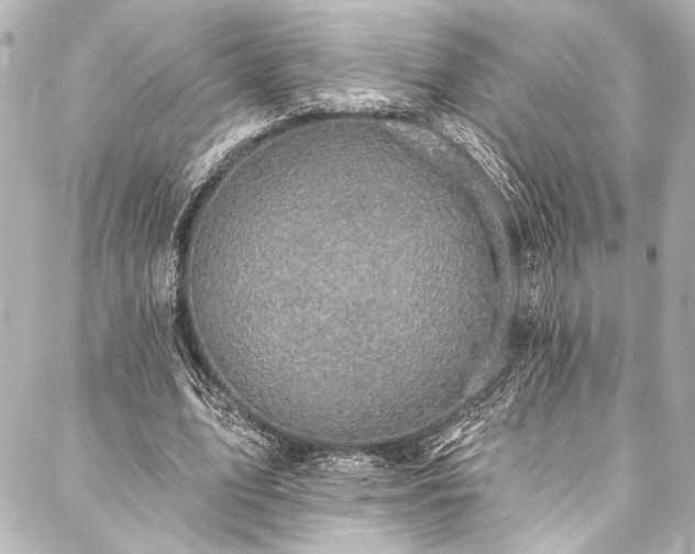 X0000088220583200705151415