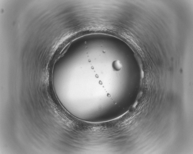 X0000088220584200705151415