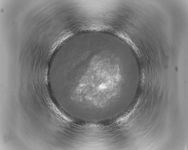 X0000088220585200705151415