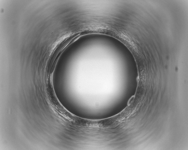 X0000088220587200705151415