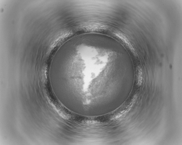 X0000088220590200705151415