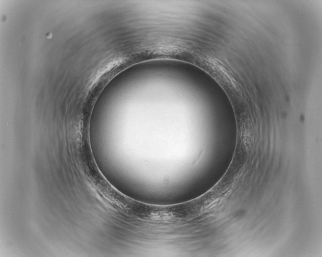 X0000088220591200705151415