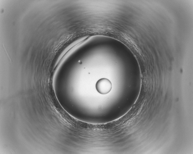 X0000088220593200705151415