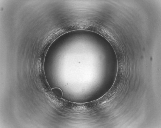 X0000088220594200705151415