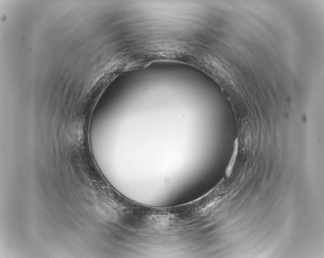 X0000088220595200705151415