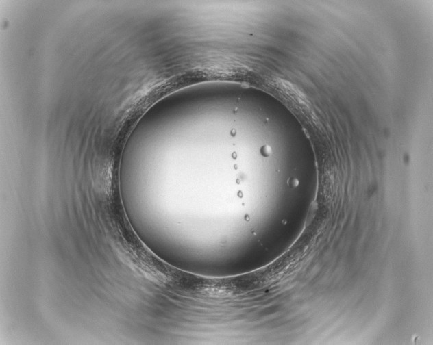 X0000088220596200705151415