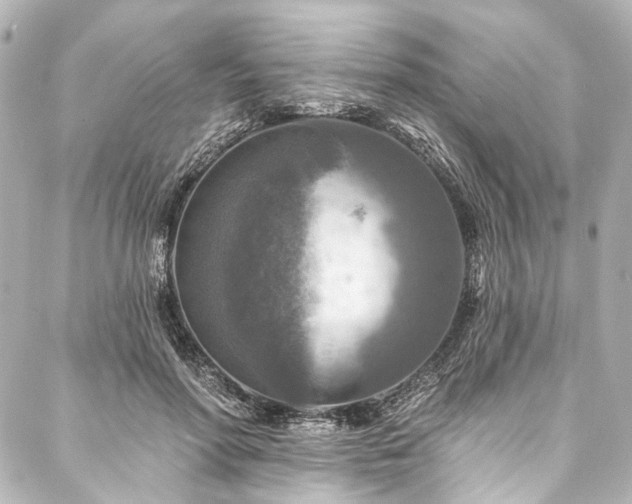 X0000088220598200705151415