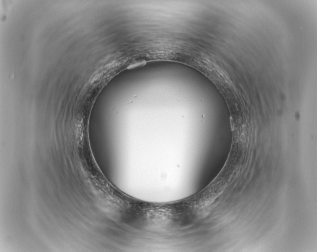 X0000088220599200705151415