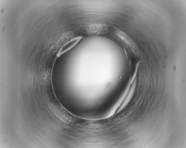 X0000088220601200705151415