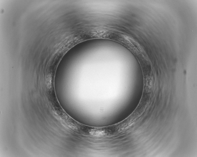 X0000088220602200705151415