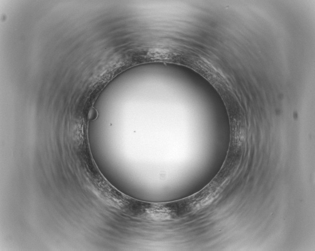 X0000088220603200705151415